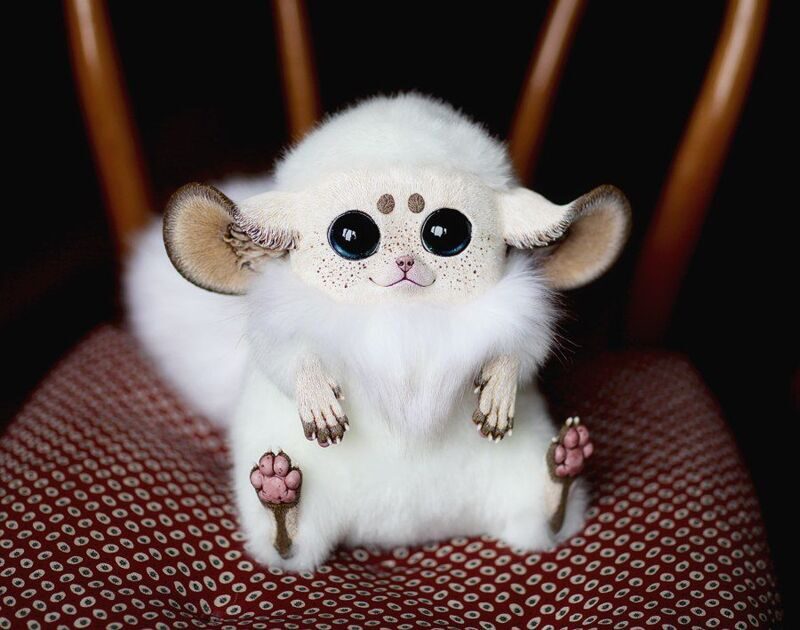 Inari Fox: Ivory