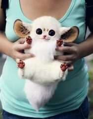 Inari Fox: Ivory