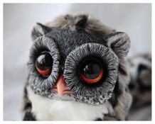 Tiny Griffin: Spotty